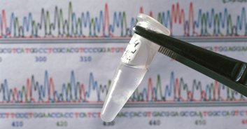 Identical-looking strangers with same name and job get DNA test to see if they are long-lost siblings