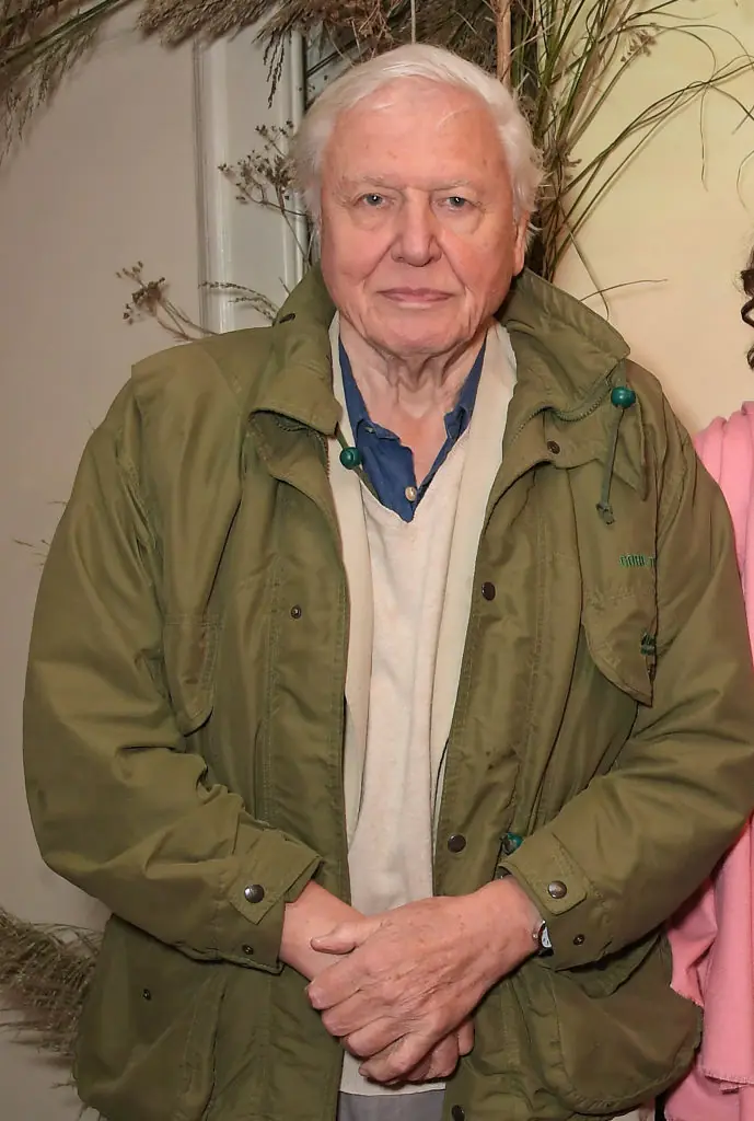 wp-image-1263226231 size-full