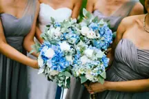 wp-image-1263226635 size-large