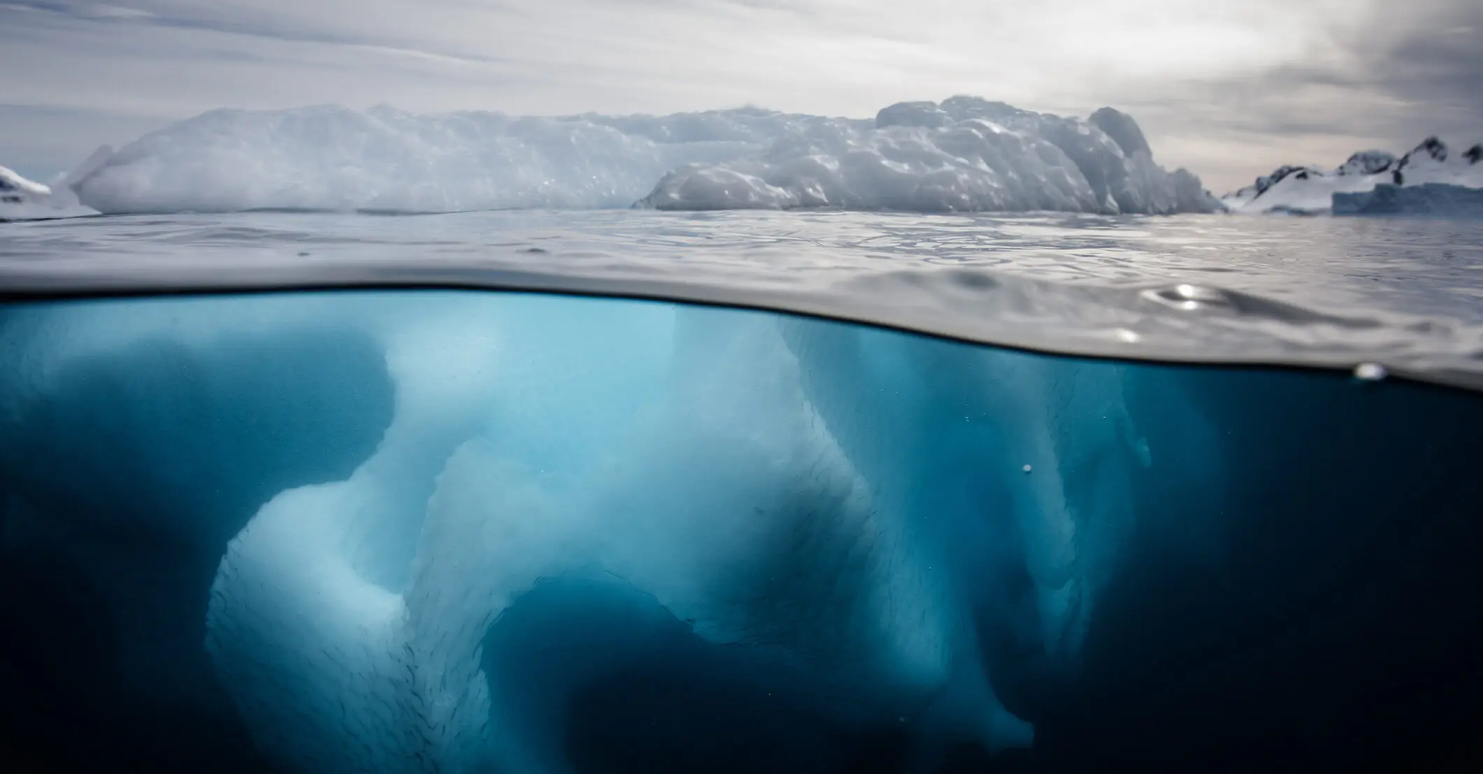 Scientists discover horrifying new sea creature with 20 arms: 'Imaging this thing touching your toes'