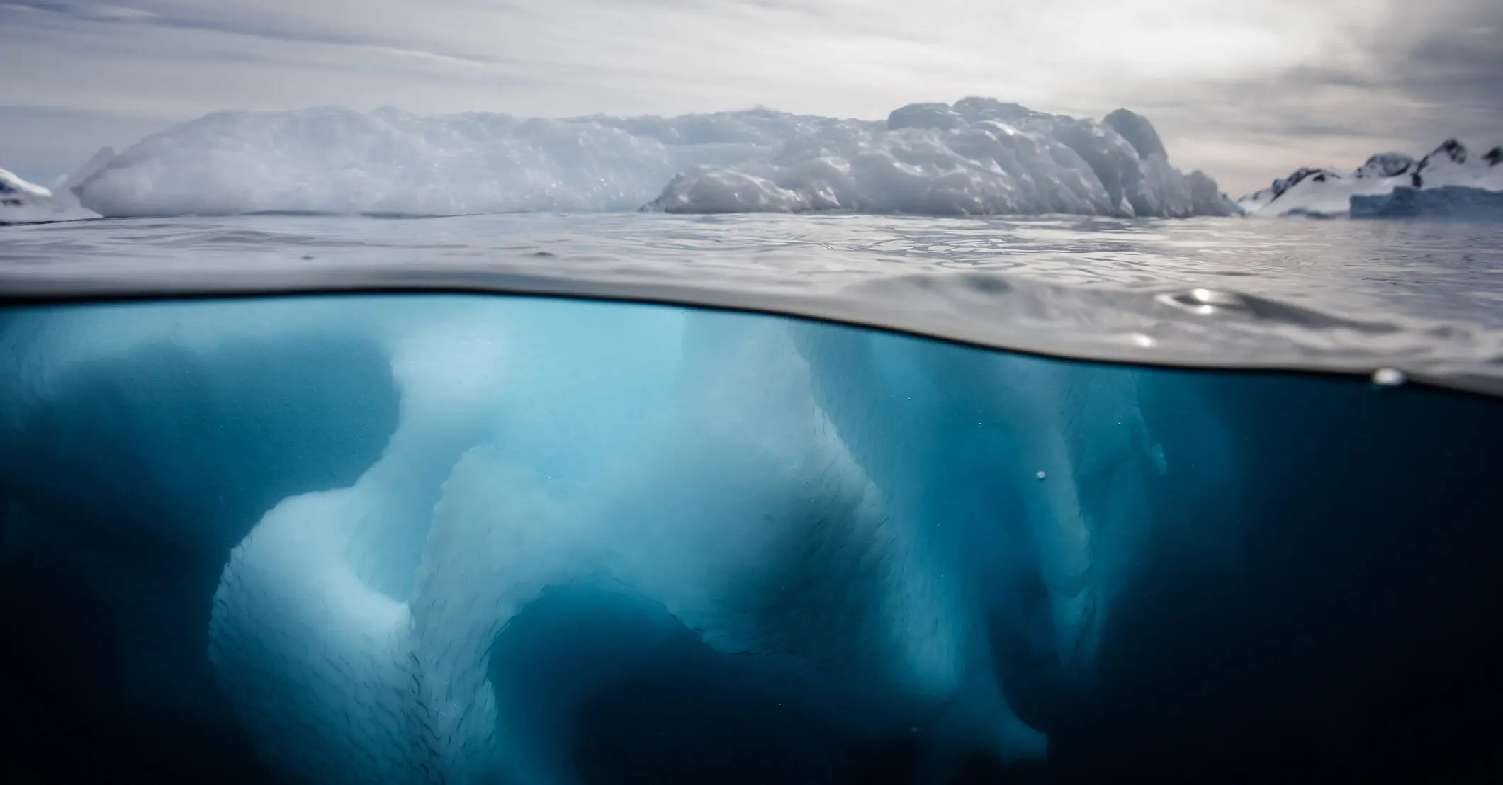 Scientists discover horrifying new sea creature with 20 arms: 'Imaging this thing touching your toes'