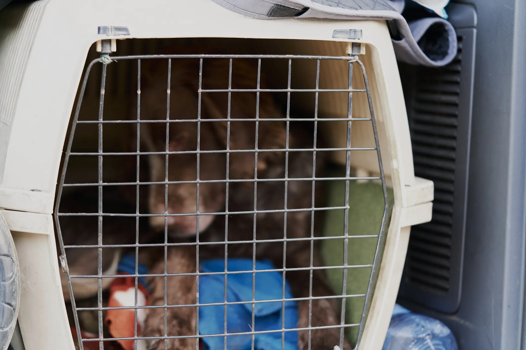 size-full wp-image-1263224095