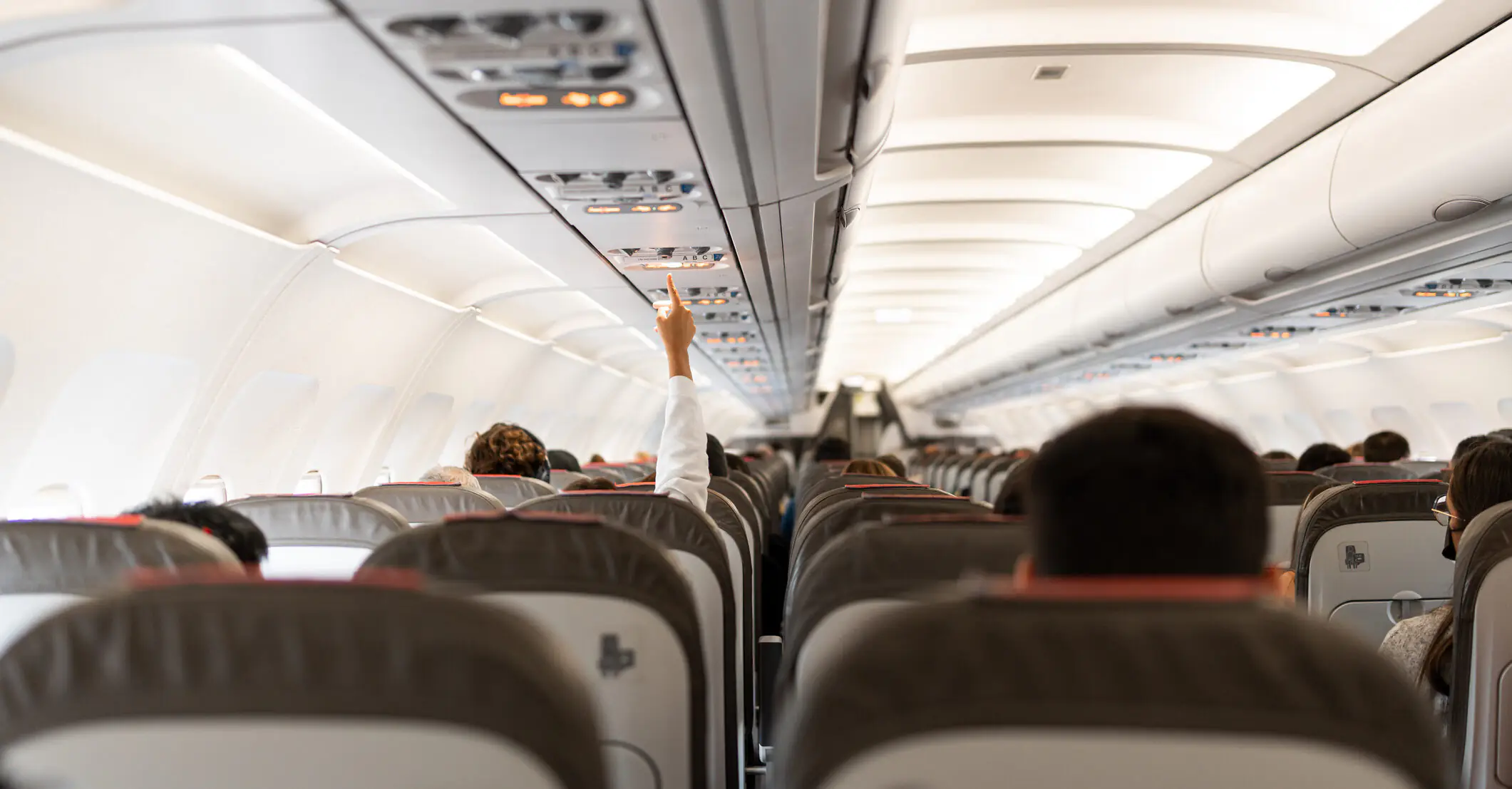 Airline praised for making 'adults only' section on their planes