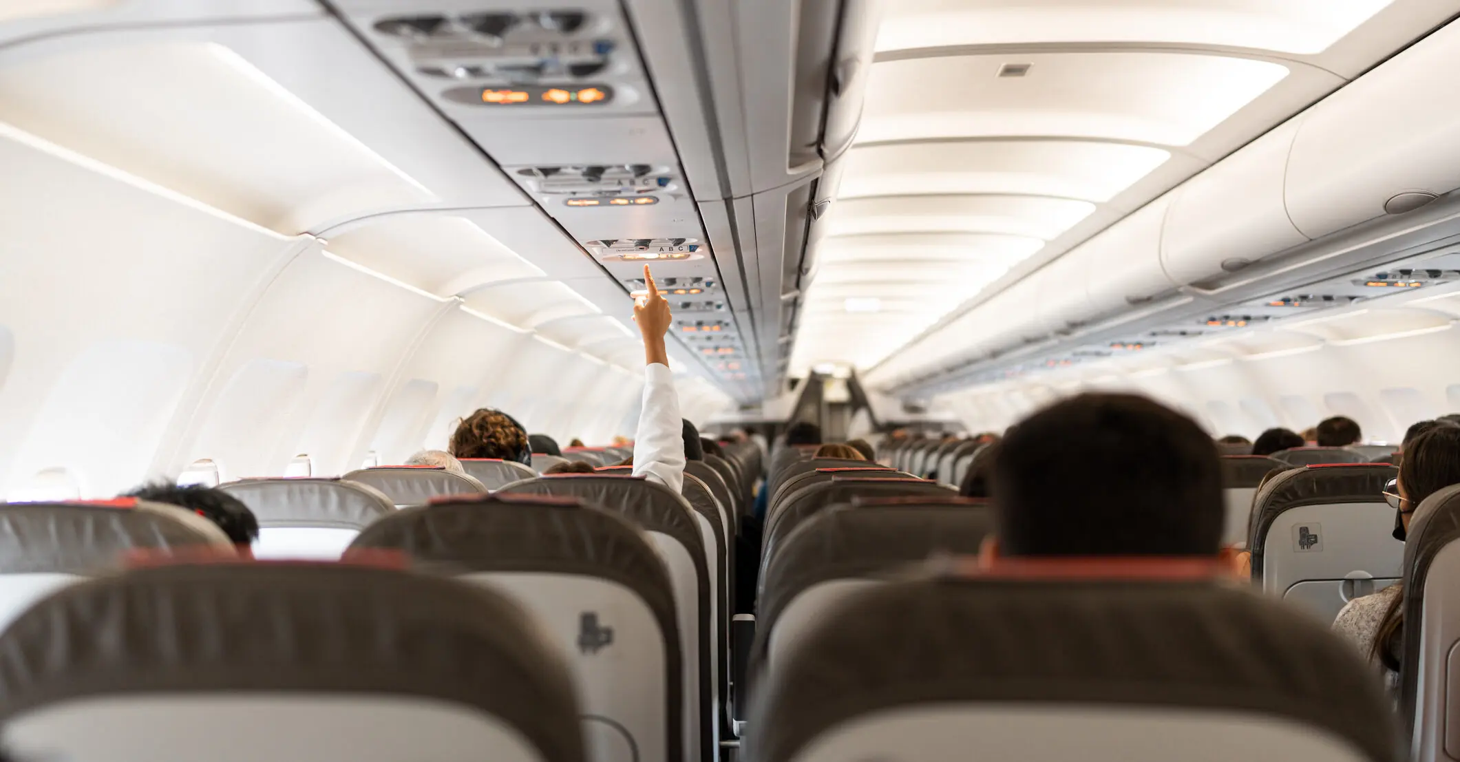 Airline praised for making 'adults only' section on their planes