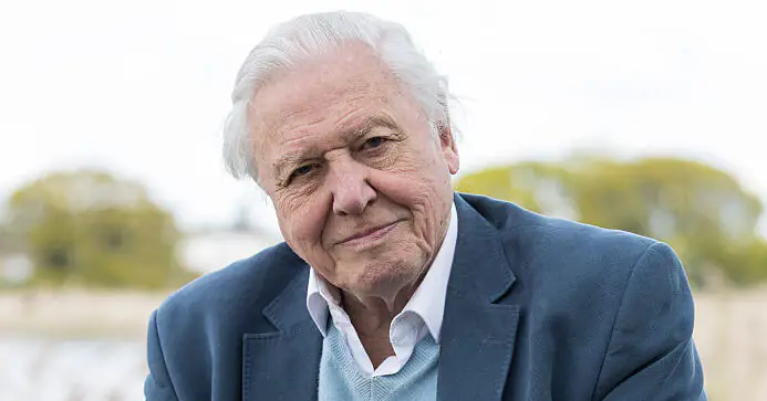 Sir David Attenborough is returning to our screens with new TV show aged 97
