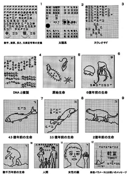 wp-image-1263225444 size-full