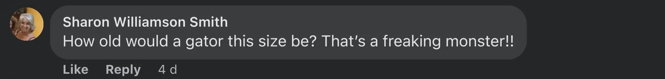 size-full wp-image-1263226591