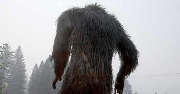 Expert weighs in on footage of 'Bigfoot carrying baby sasquatch' after zooming in on video