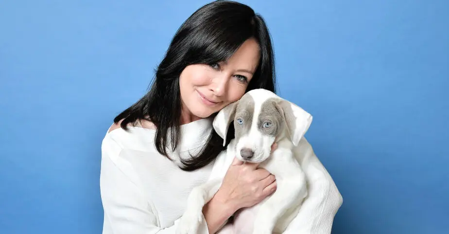 Shannen Doherty tears up as she receives standing ovation during '90210' panel amid cancer battle