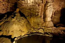 size-full wp-image-1263227294