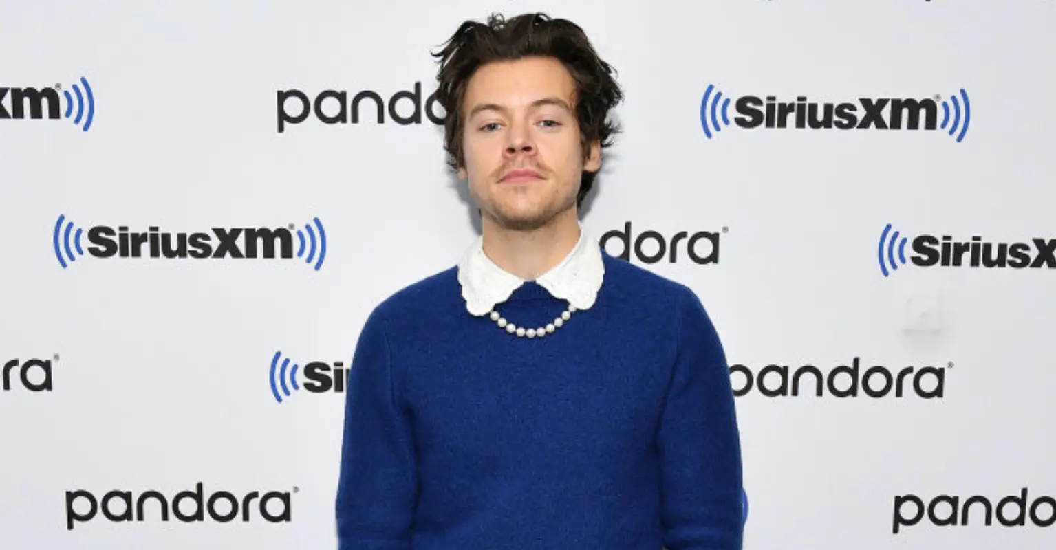 Fans go wild as Harry Styles shows off abs while taking a dip in lake