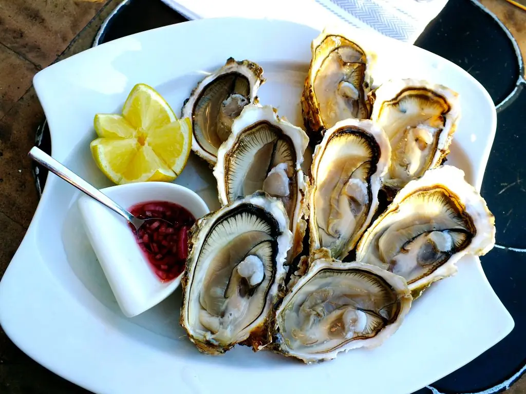 wp-image-1263228120 size-full