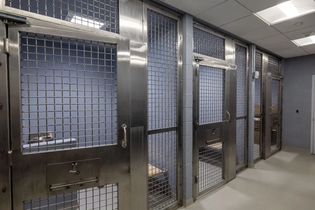 size-full wp-image-1263228064