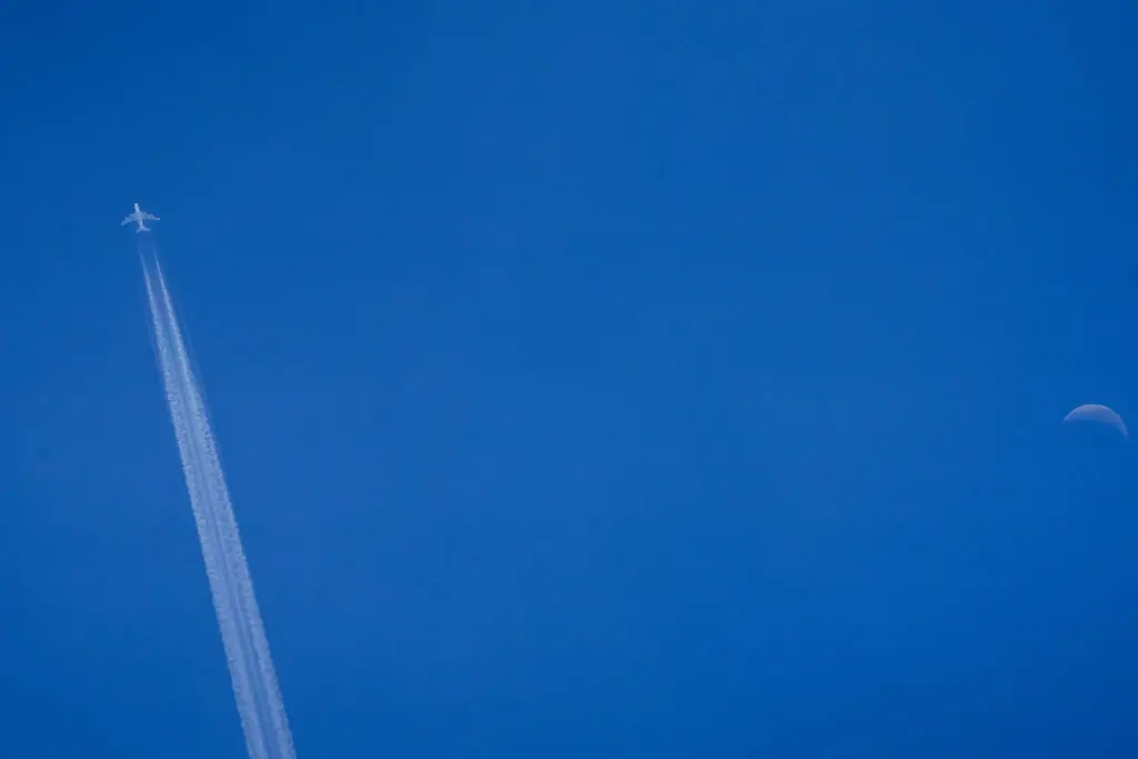 wp-image-1263228156 size-full