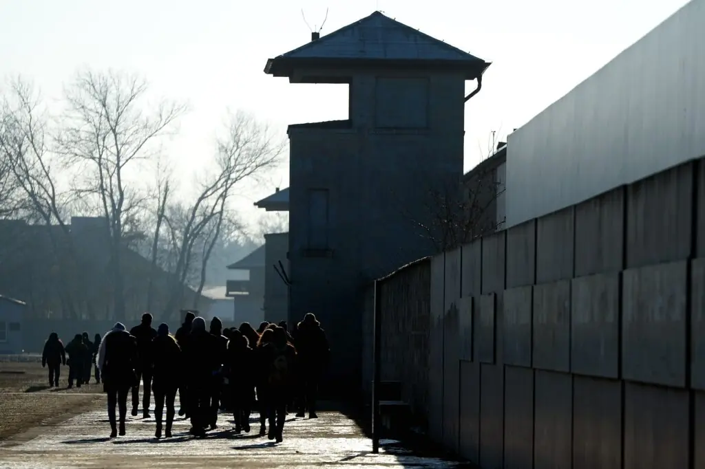 size-large wp-image-1263226750