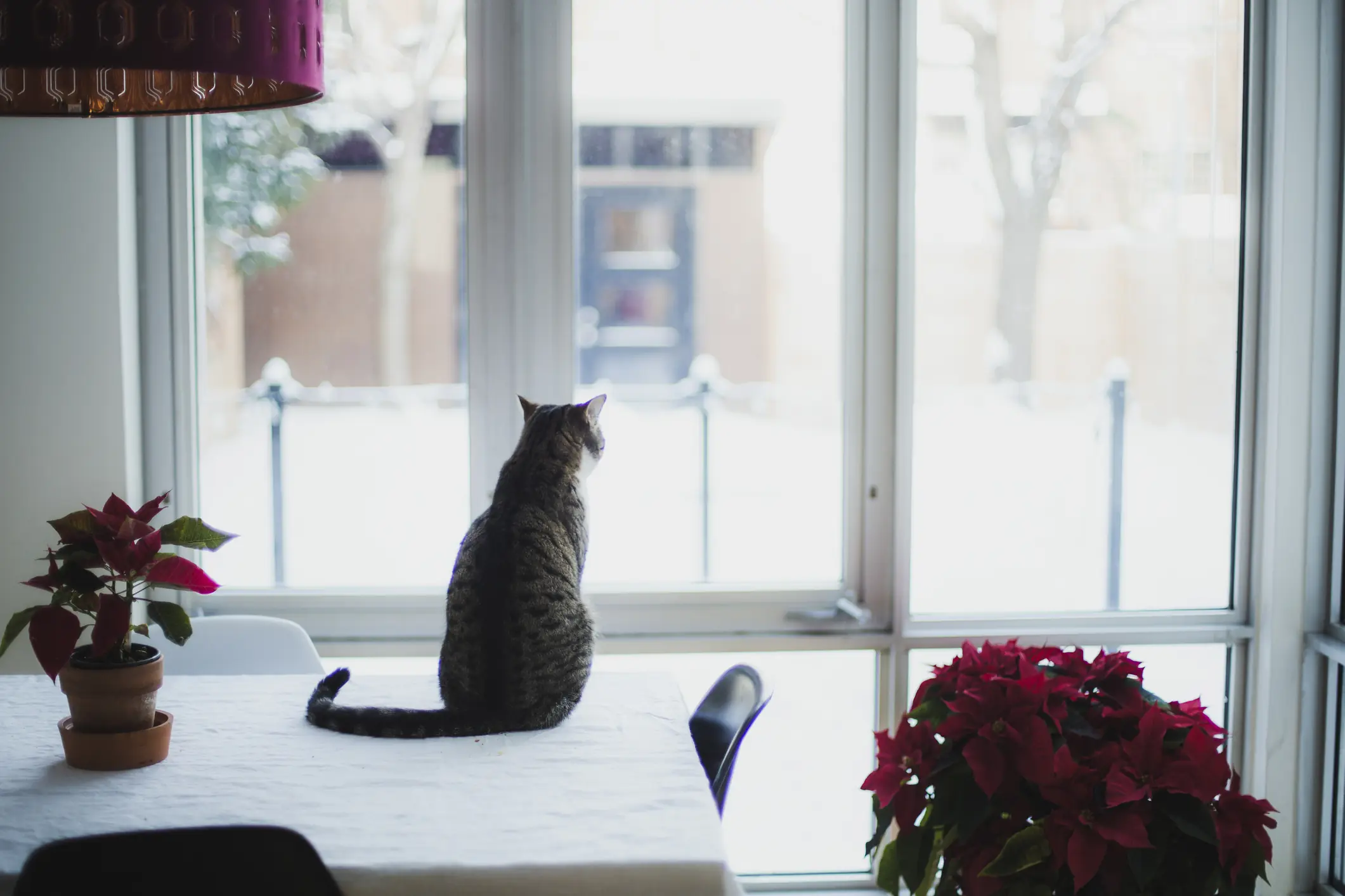 size-full wp-image-1263230665