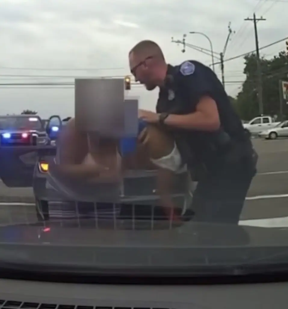 size-large wp-image-1263226774