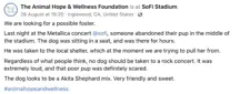 size-large wp-image-1263226779