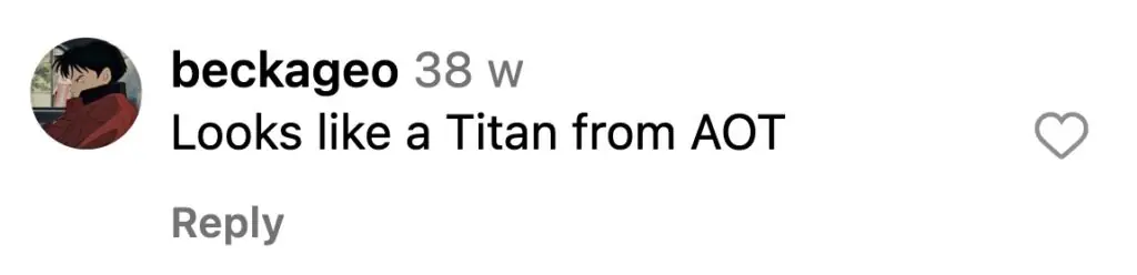 size-large wp-image-1263226808