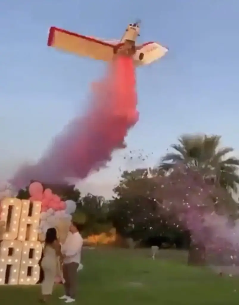 Pilot is tragically killed after extreme gender reveal stunt goes wrong - Article Image 2