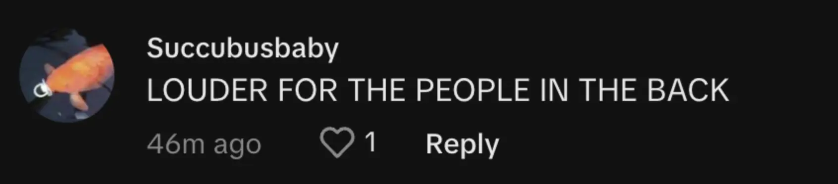 wp-image-1263227481 size-full