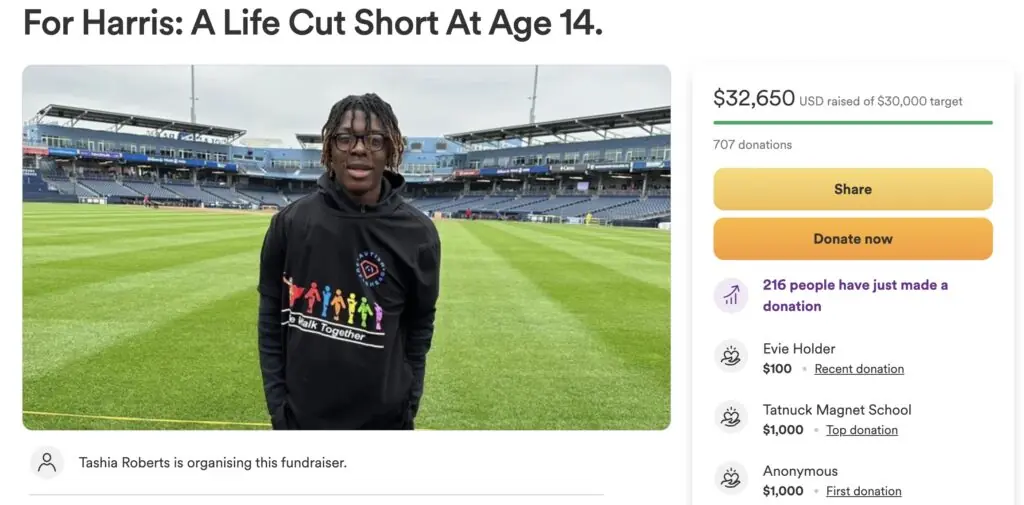 'One Chip Challenge' pulled from shelves following death of teen, company issues statement - Article Image 1