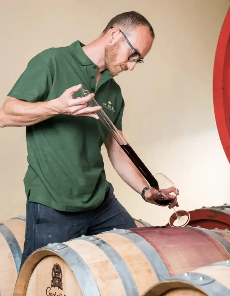 size-large wp-image-1263228777