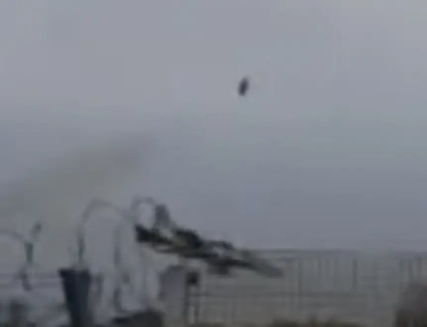 size-full wp-image-1263228862