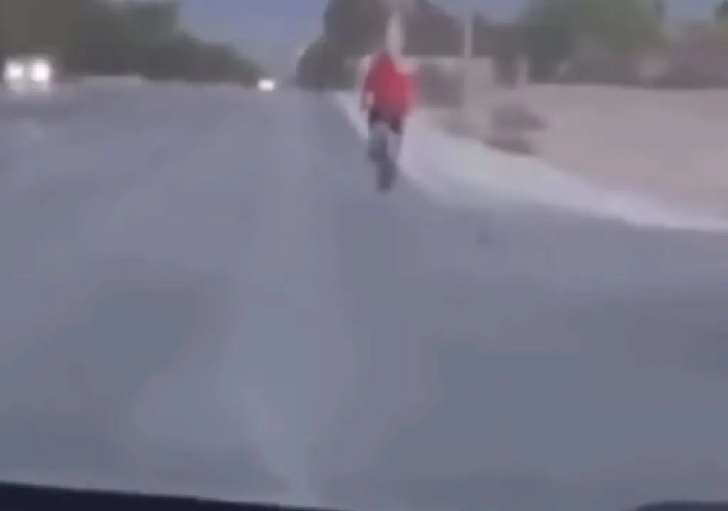 size-large wp-image-1263228984