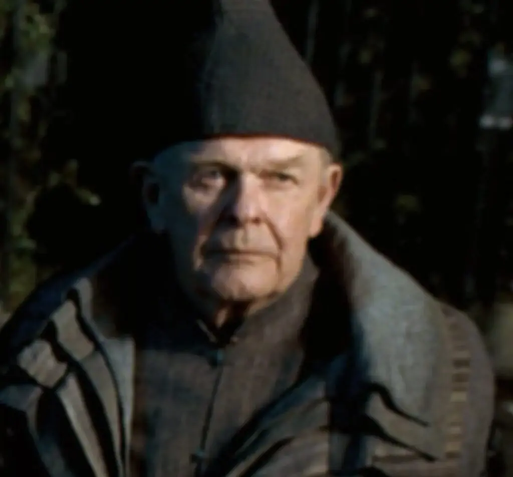 size-large wp-image-1263230601