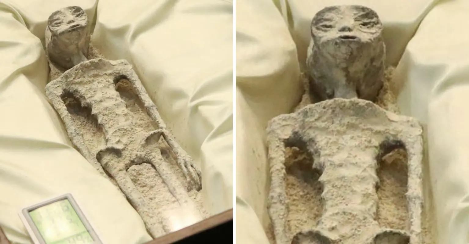 Experts Weigh In On 'Alien Corpses' Unveiled Mexican At Public Hearing