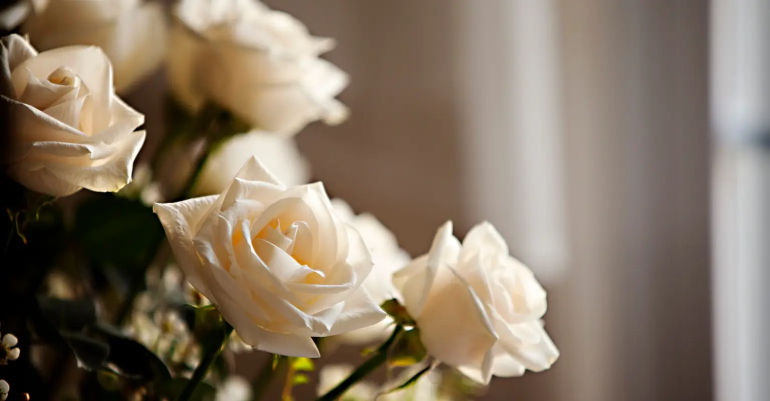 Mom who learnt she had terminal cancer days after welcoming IVF baby has died