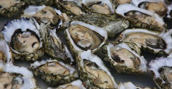 Authorities issue urgent warning as man dies after eating raw oysters from restaurant
