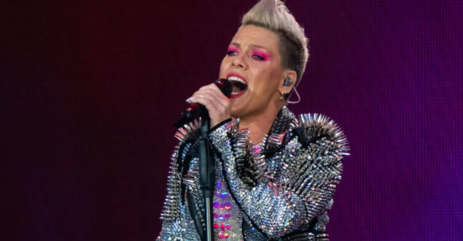 Pink blasts troll who compared her to Eddie Izzard in 'hateful' post