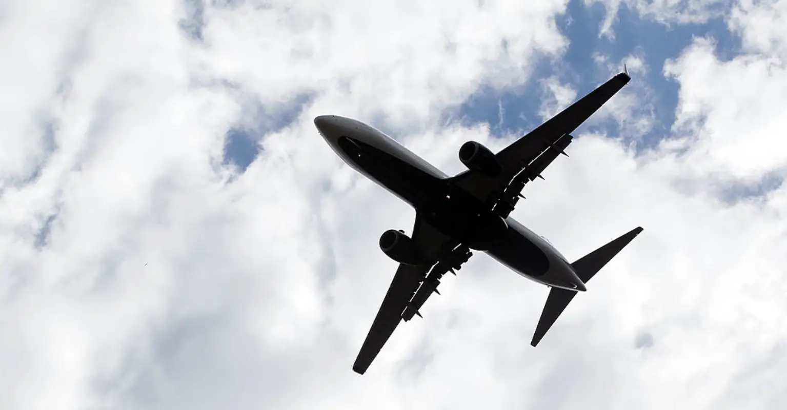 Couple demand refund after 'snorting' dog leaves 'saliva goo' on husband's leg during 13-hour flight