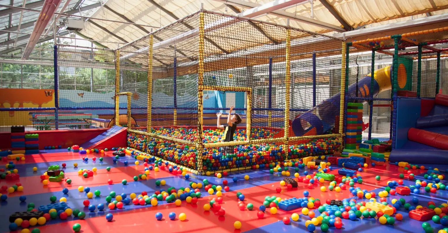 wp-image-1263228645 size-full