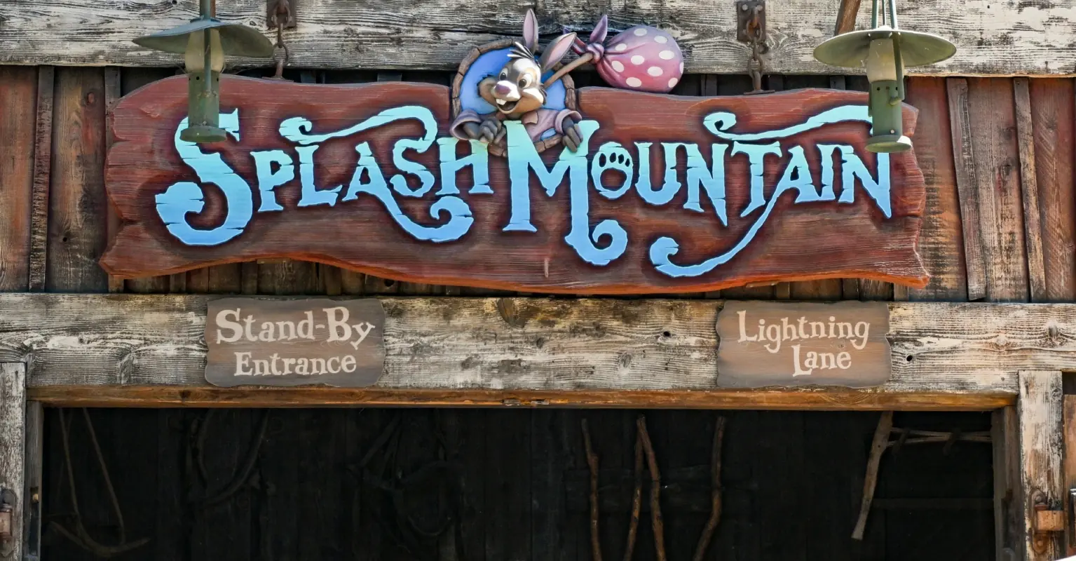 Woman learns her husband is cheating with their nanny due to one detail in Disney ride photo