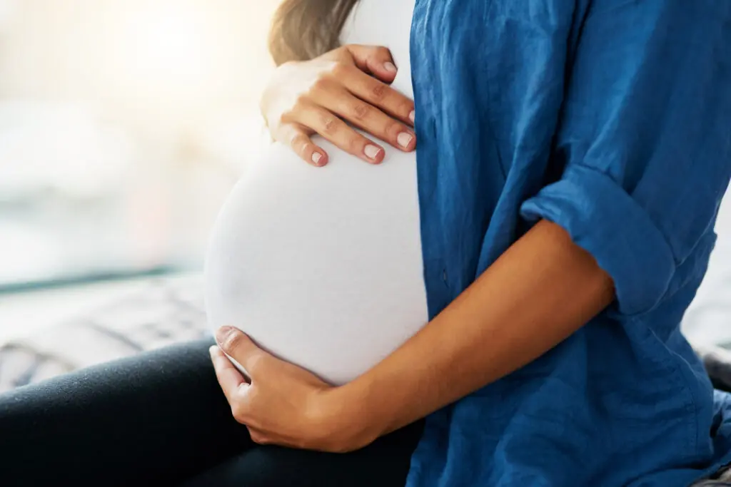 wp-image-1263232547 size-large