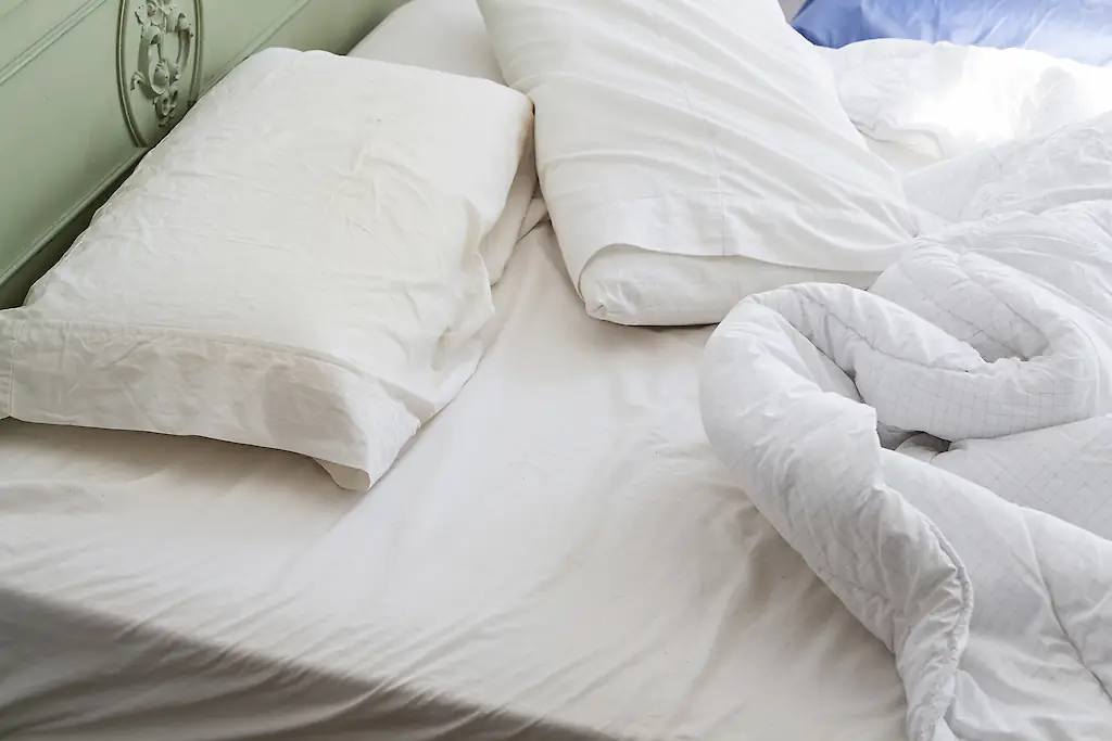 wp-image-1263251709 size-full