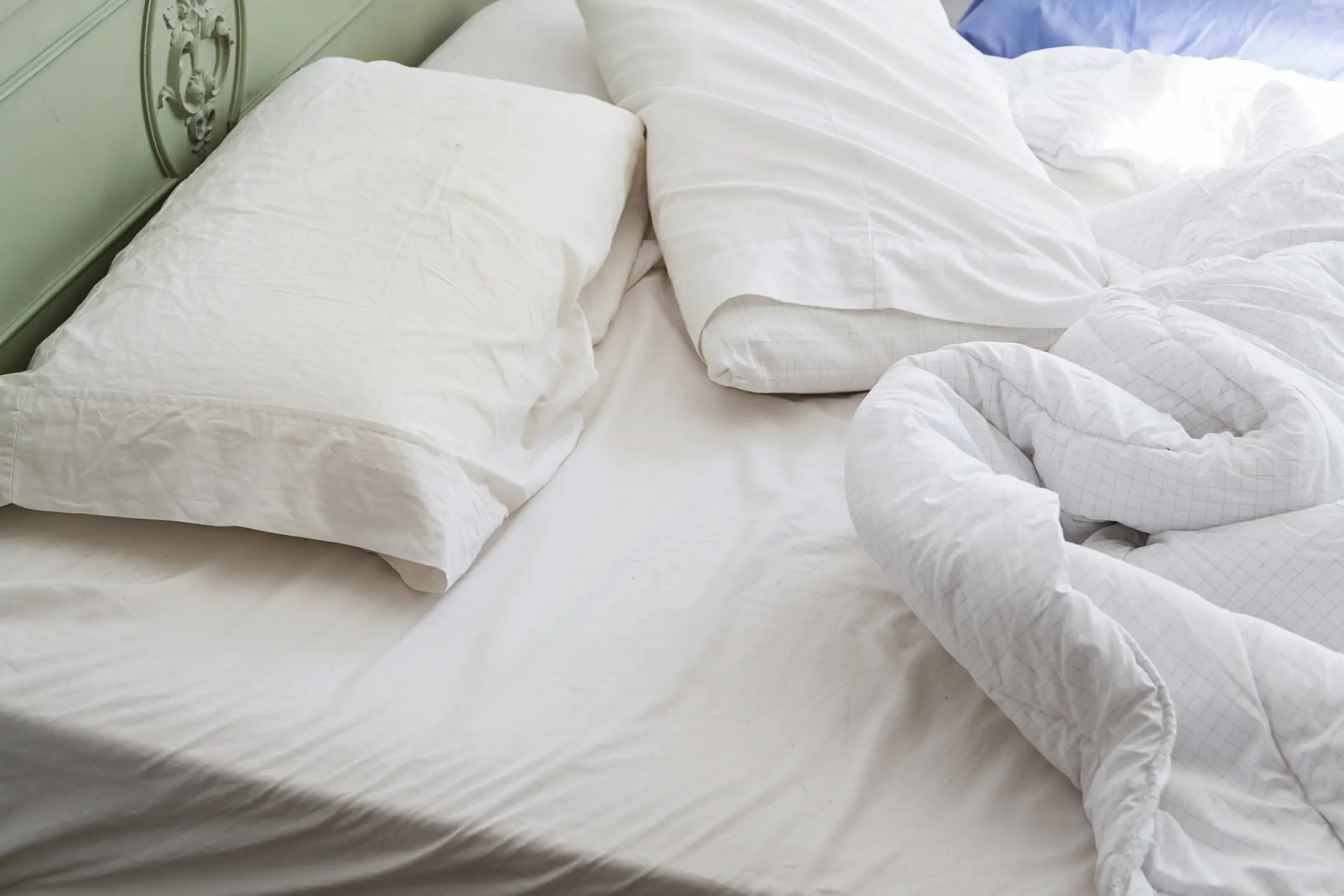 wp-image-1263251709 size-full