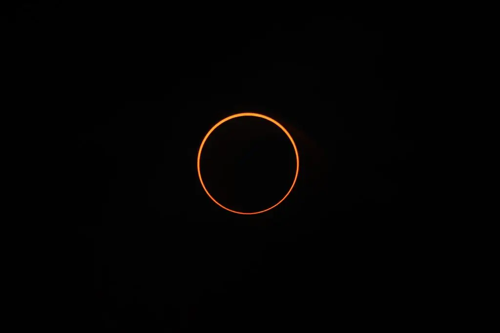 size-full wp-image-1263232646