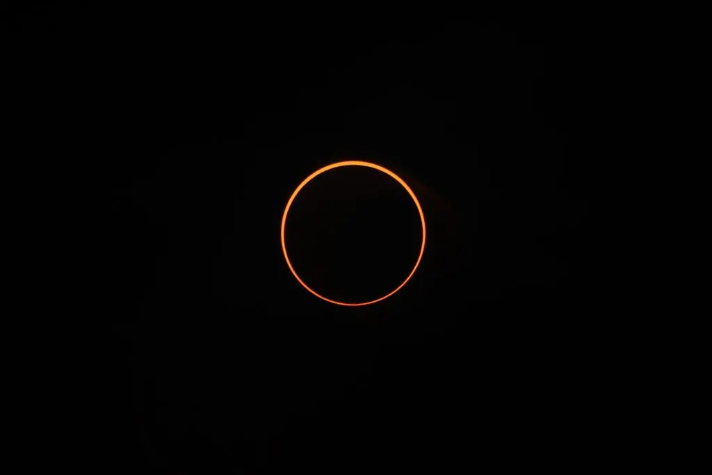 size-full wp-image-1263232646