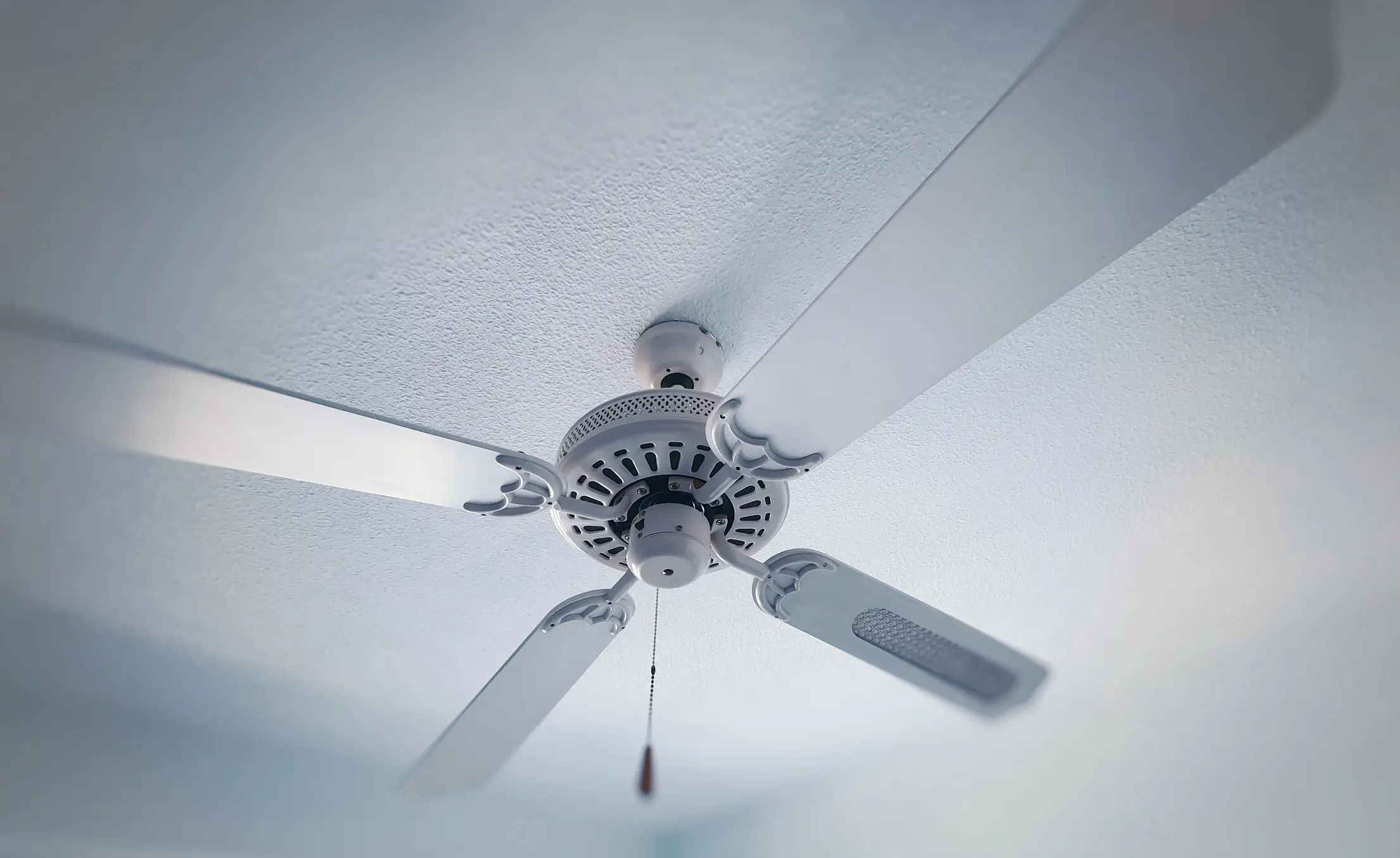 size-full wp-image-1263231511