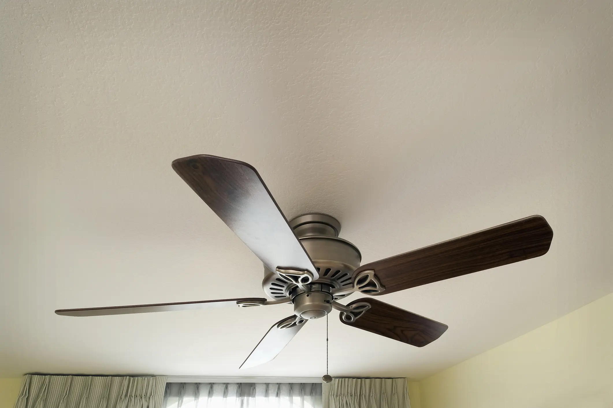 size-full wp-image-1263231513