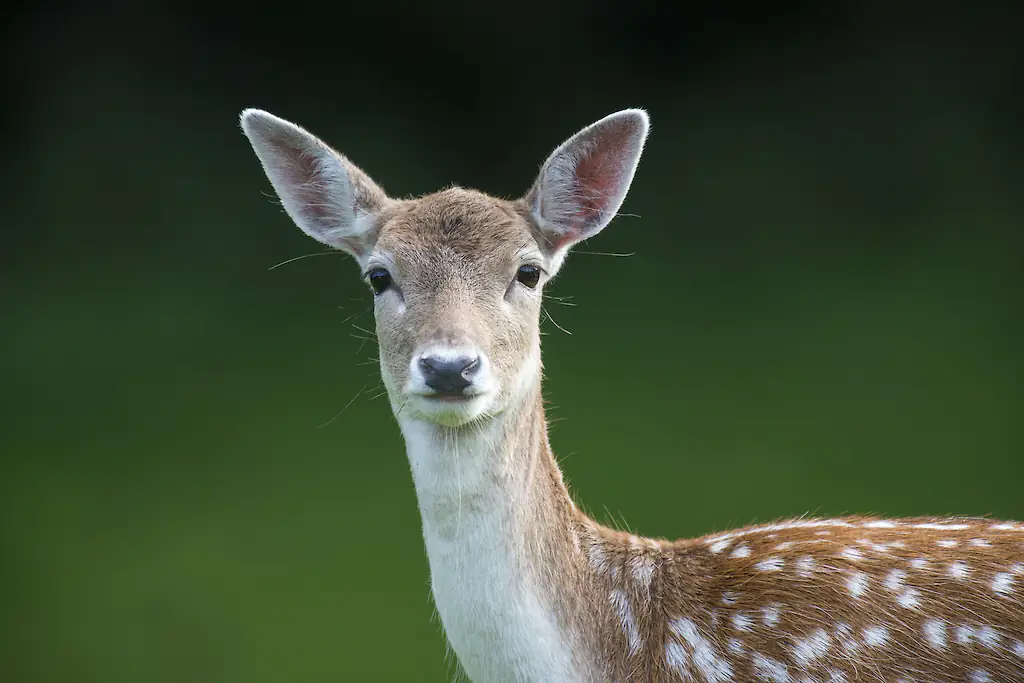 size-full wp-image-1263232755