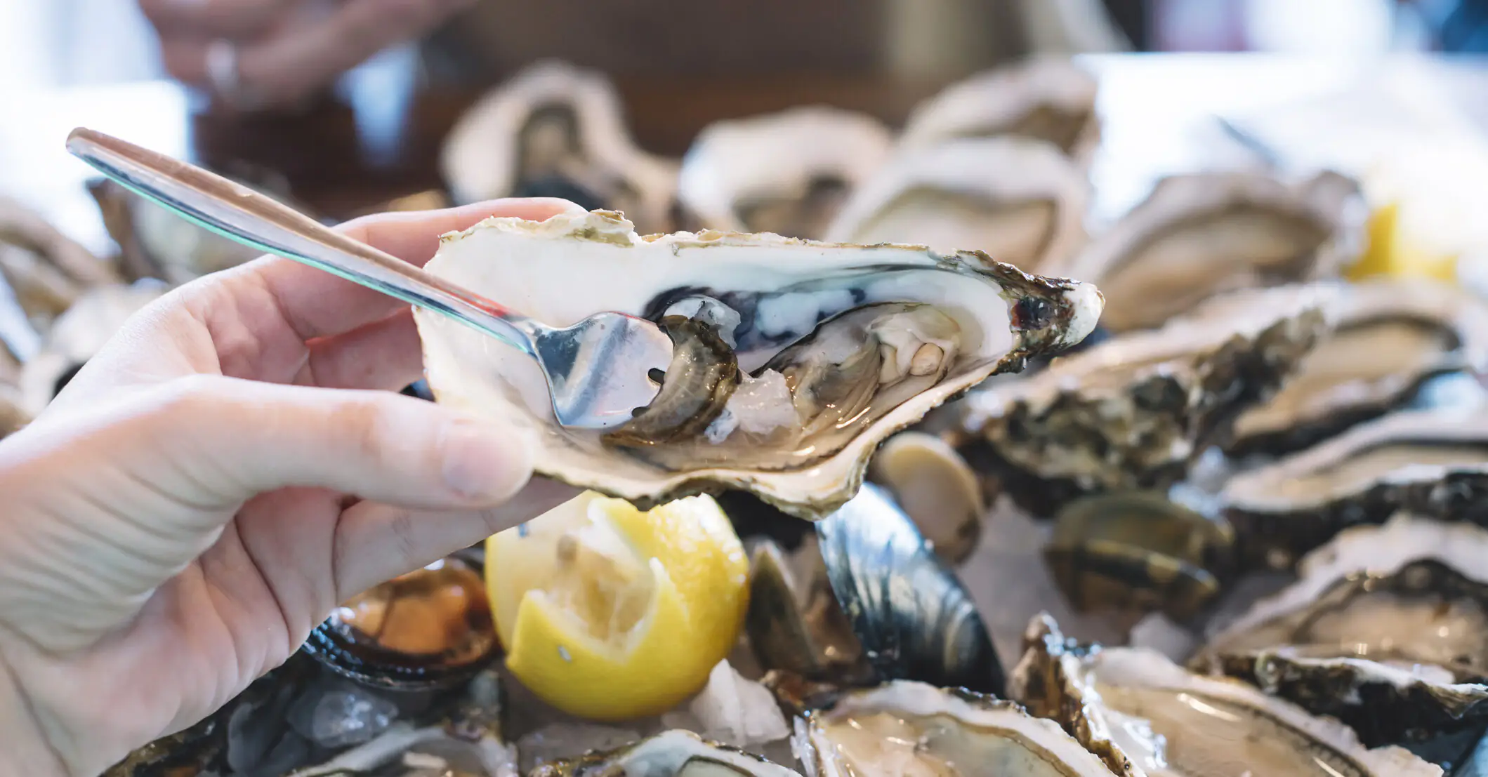 Woman who was ditched by date after slurping down 48 oysters criticized for 'not tipping enough'