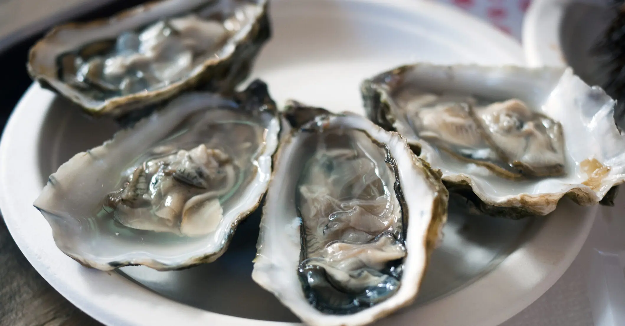 Woman who slurped down 48 raw oysters on first date left stunned as date ditches her with the bill