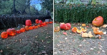 Priest issues apology after destroying kids' 'satanic' Halloween pumpkins
