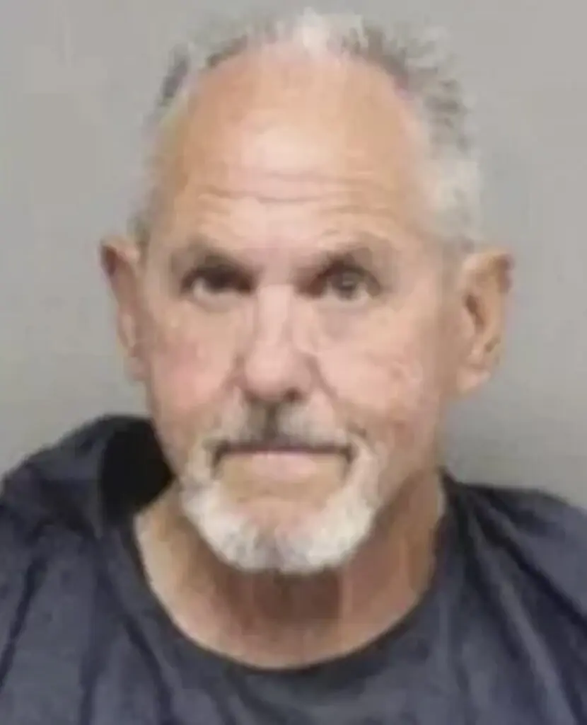 size-large wp-image-1263231259