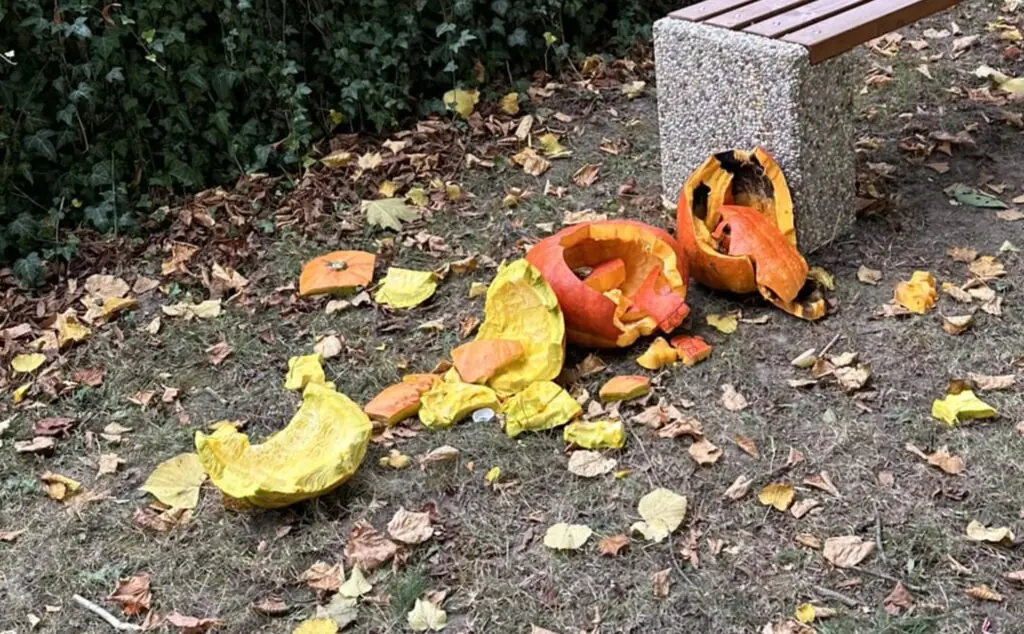 size-large wp-image-1263233642